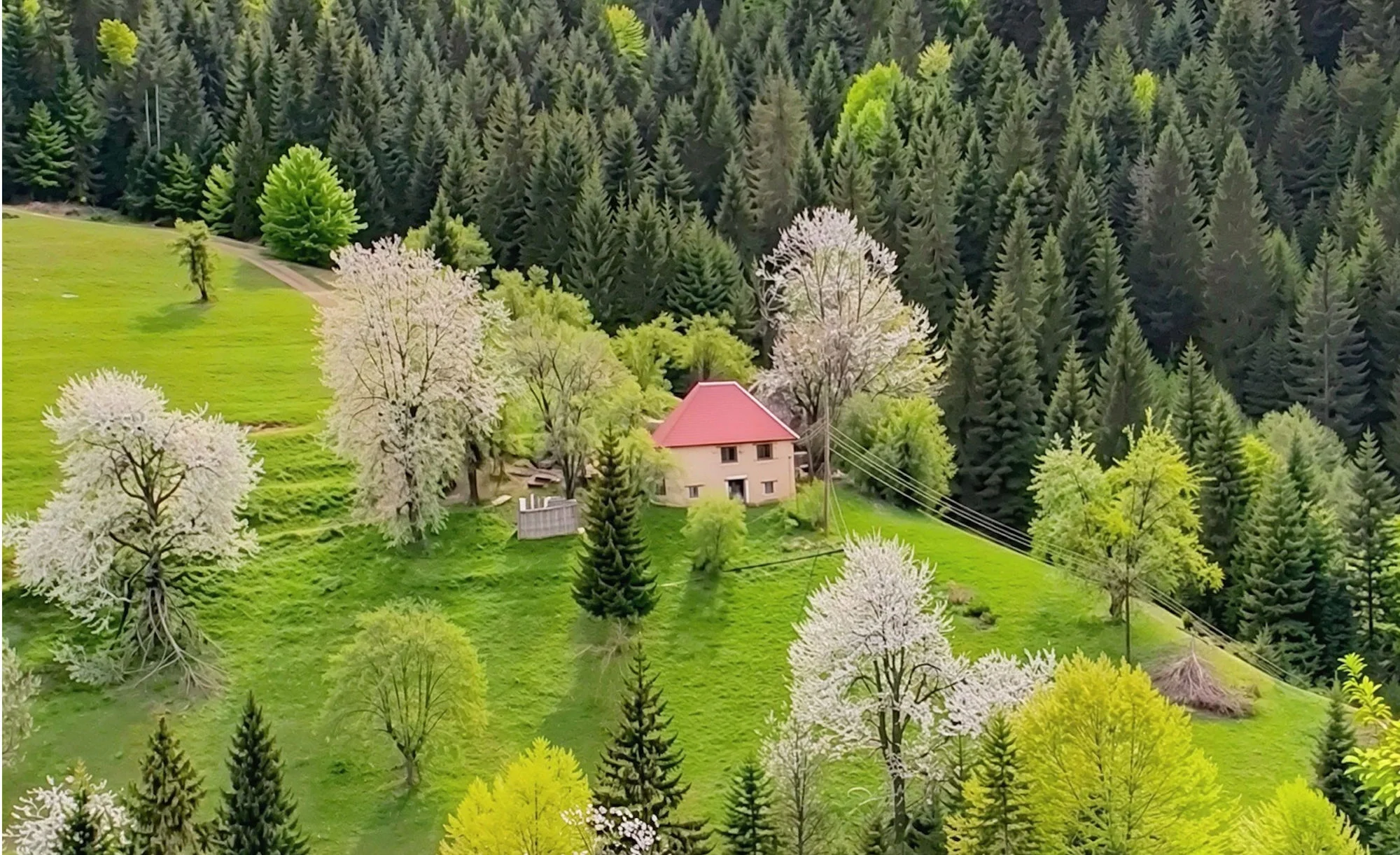 Planinska idila Rožaja